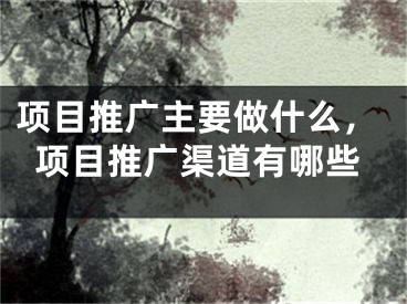 项目推广主要做什么，项目推广渠道有哪些