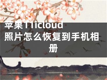 苹果11icloud照片怎么恢复到手机相册