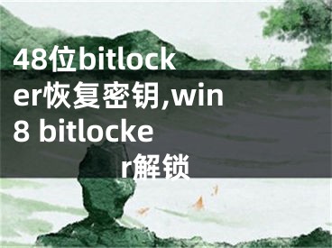 48位bitlocker恢复密钥,win8 bitlocker解锁
