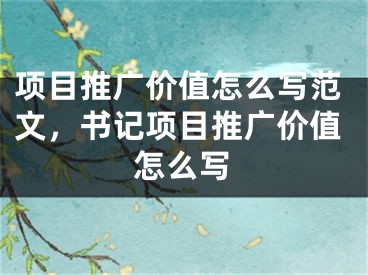 项目推广价值怎么写范文，书记项目推广价值怎么写