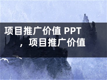 项目推广价值 PPT，项目推广价值