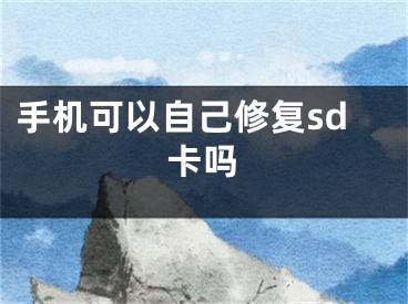 手机可以自己修复sd卡吗