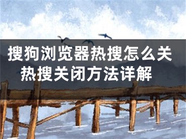 搜狗浏览器热搜怎么关 热搜关闭方法详解