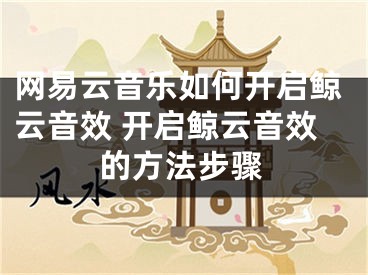 网易云音乐如何开启鲸云音效 开启鲸云音效的方法步骤