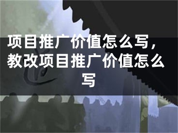 项目推广价值怎么写，教改项目推广价值怎么写