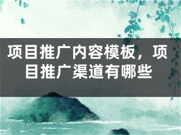 项目推广内容模板，项目推广渠道有哪些