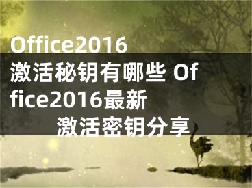 Office2016激活秘钥有哪些 Office2016最新激活密钥分享
