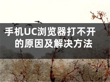 手机UC浏览器打不开的原因及解决方法