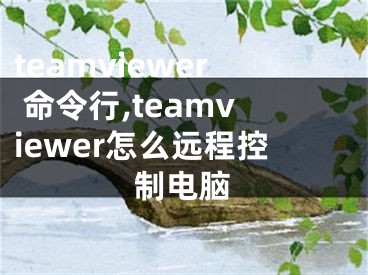 teamviewer 命令行,teamviewer怎么远程控制电脑