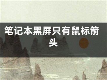 笔记本黑屏只有鼠标箭头