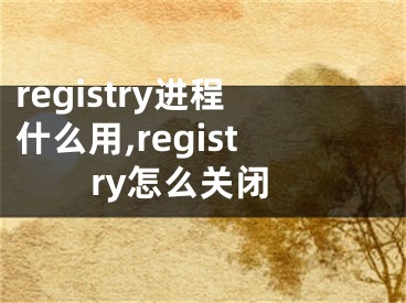 registry进程什么用,registry怎么关闭