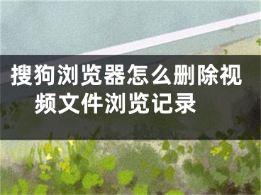 搜狗浏览器怎么删除视频文件浏览记录 