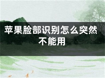 苹果脸部识别怎么突然不能用