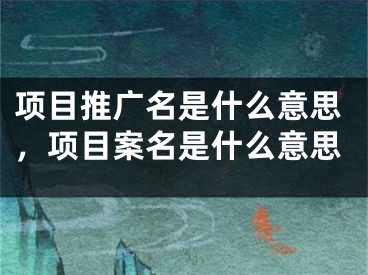 项目推广名是什么意思，项目案名是什么意思