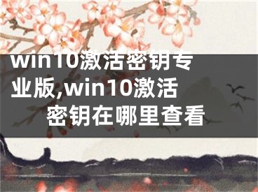 win10激活密钥专业版,win10激活密钥在哪里查看