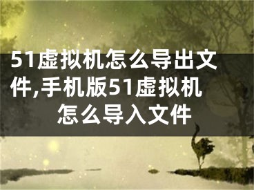 51虚拟机怎么导出文件,手机版51虚拟机怎么导入文件