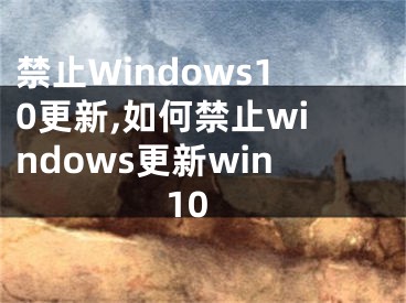 禁止Windows10更新,如何禁止windows更新win10