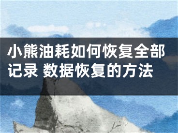 小熊油耗如何恢复全部记录 数据恢复的方法