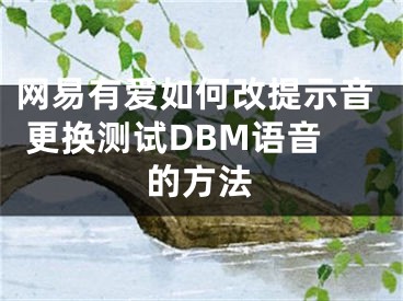 网易有爱如何改提示音 更换测试DBM语音的方法