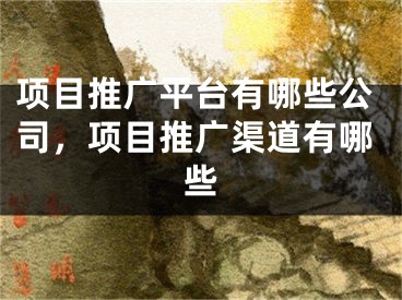 项目推广平台有哪些公司，项目推广渠道有哪些