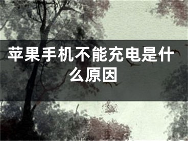 苹果手机不能充电是什么原因