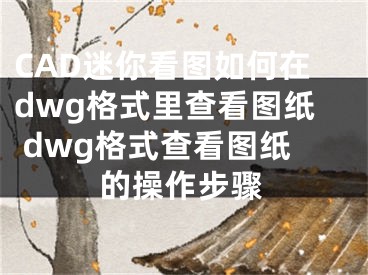 CAD迷你看图如何在dwg格式里查看图纸 dwg格式查看图纸的操作步骤