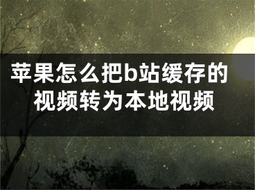 苹果怎么把b站缓存的视频转为本地视频