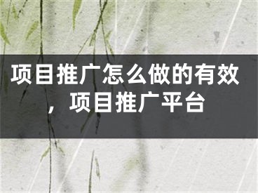 项目推广怎么做的有效，项目推广平台