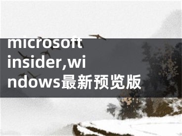 microsoft insider,windows最新预览版