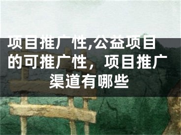 项目推广性,公益项目的可推广性，项目推广渠道有哪些