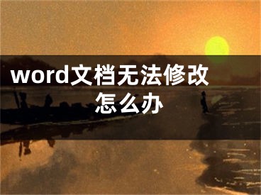 word文档无法修改怎么办