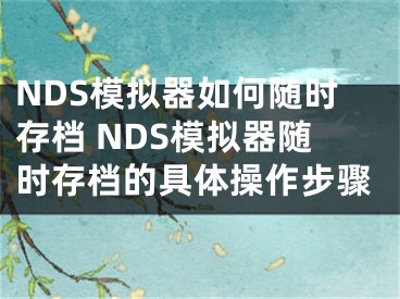 NDS模拟器如何随时存档 NDS模拟器随时存档的具体操作步骤