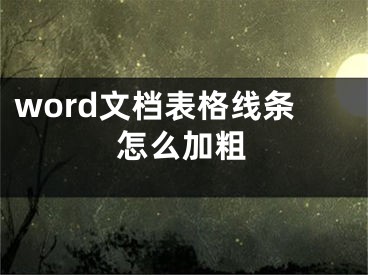 word文档表格线条怎么加粗