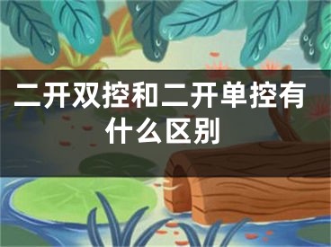 二开双控和二开单控有什么区别