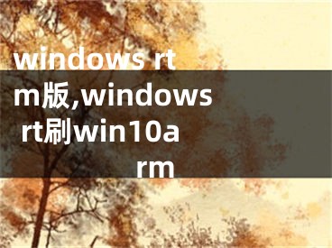 windows rtm版,windows rt刷win10arm