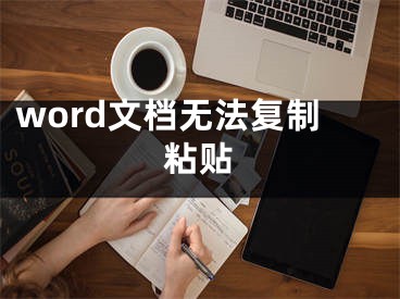 word文档无法复制粘贴