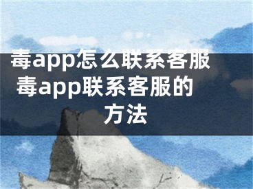 毒app怎么联系客服 毒app联系客服的方法