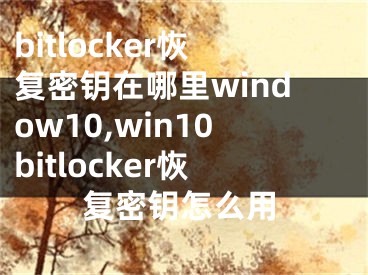 bitlocker恢复密钥在哪里window10,win10bitlocker恢复密钥怎么用