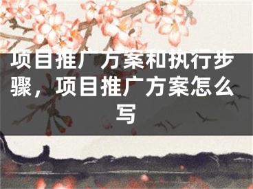 项目推广方案和执行步骤，项目推广方案怎么写