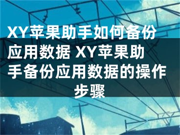 XY苹果助手如何备份应用数据 XY苹果助手备份应用数据的操作步骤