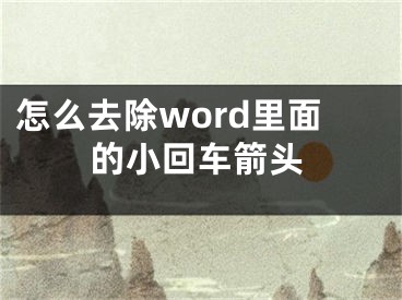 怎么去除word里面的小回车箭头