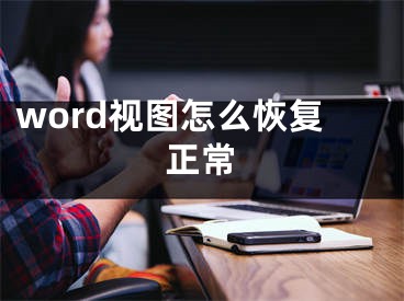 word视图怎么恢复正常