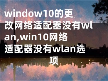 window10的更改网络适配器没有wlan,win10网络适配器没有wlan选项