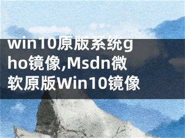 win10原版系统gho镜像,Msdn微软原版Win10镜像