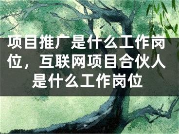 项目推广是什么工作岗位，互联网项目合伙人是什么工作岗位