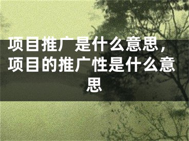 项目推广是什么意思，项目的推广性是什么意思