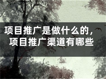 项目推广是做什么的，项目推广渠道有哪些