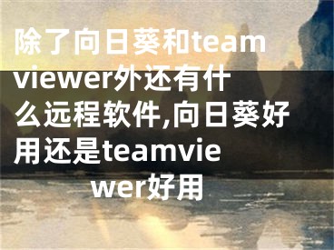 除了向日葵和teamviewer外还有什么远程软件,向日葵好用还是teamviewer好用