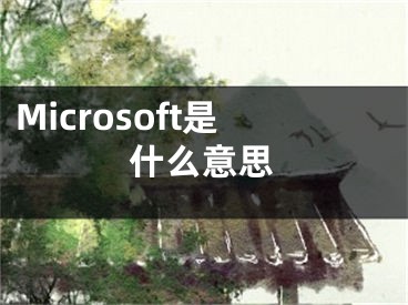 Microsoft是什么意思