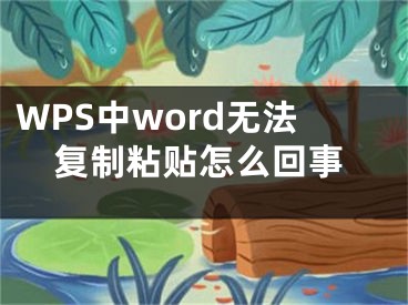 WPS中word无法复制粘贴怎么回事